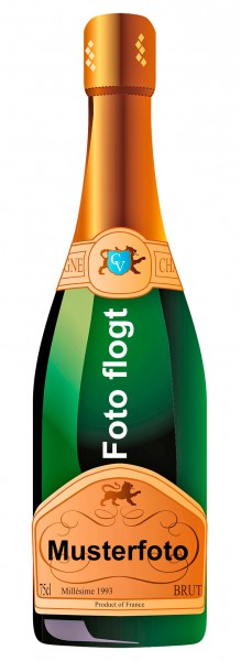 Grande Cuvée 1531 de Aimery Brut Crémant de Limoux