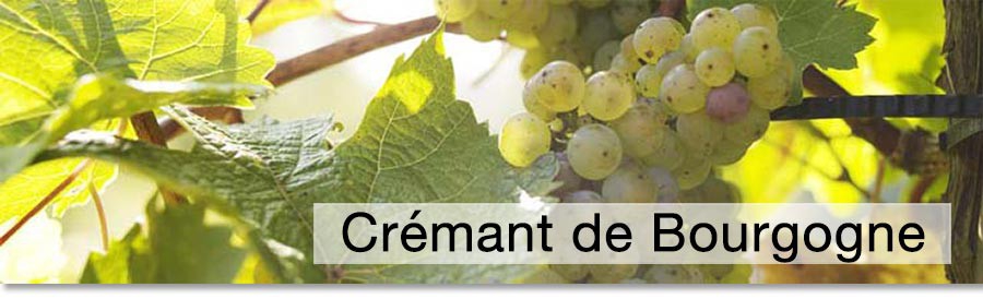 Cremant de Bourgogne